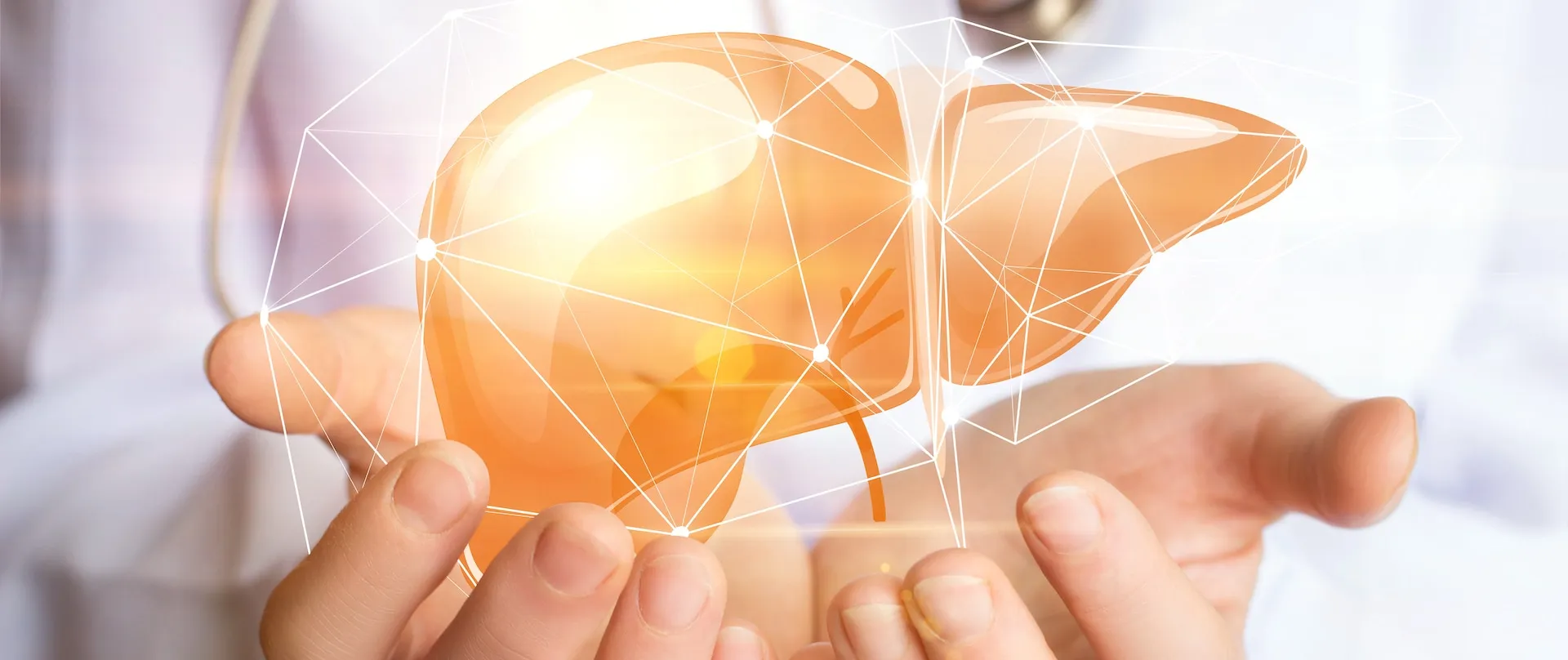Illustration einer Leber in einer Hand als Sinnbild für die Hepatologie